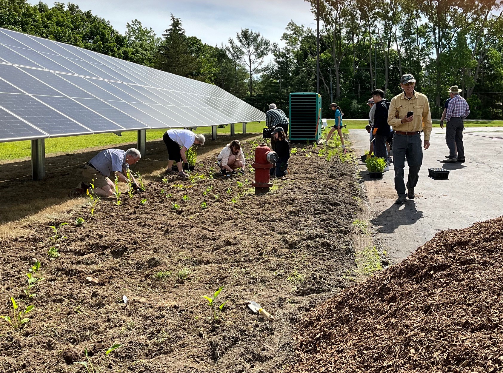 planting 1