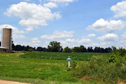 Davenport Silo with blue sky and clouds over a planted field 