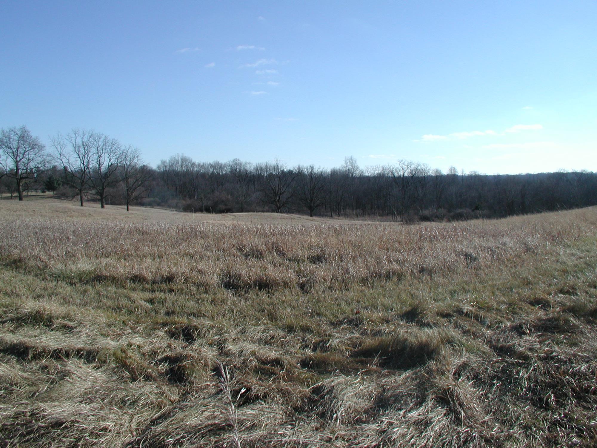 fall agricultural field, Moore property, Barry Lonik photo credit