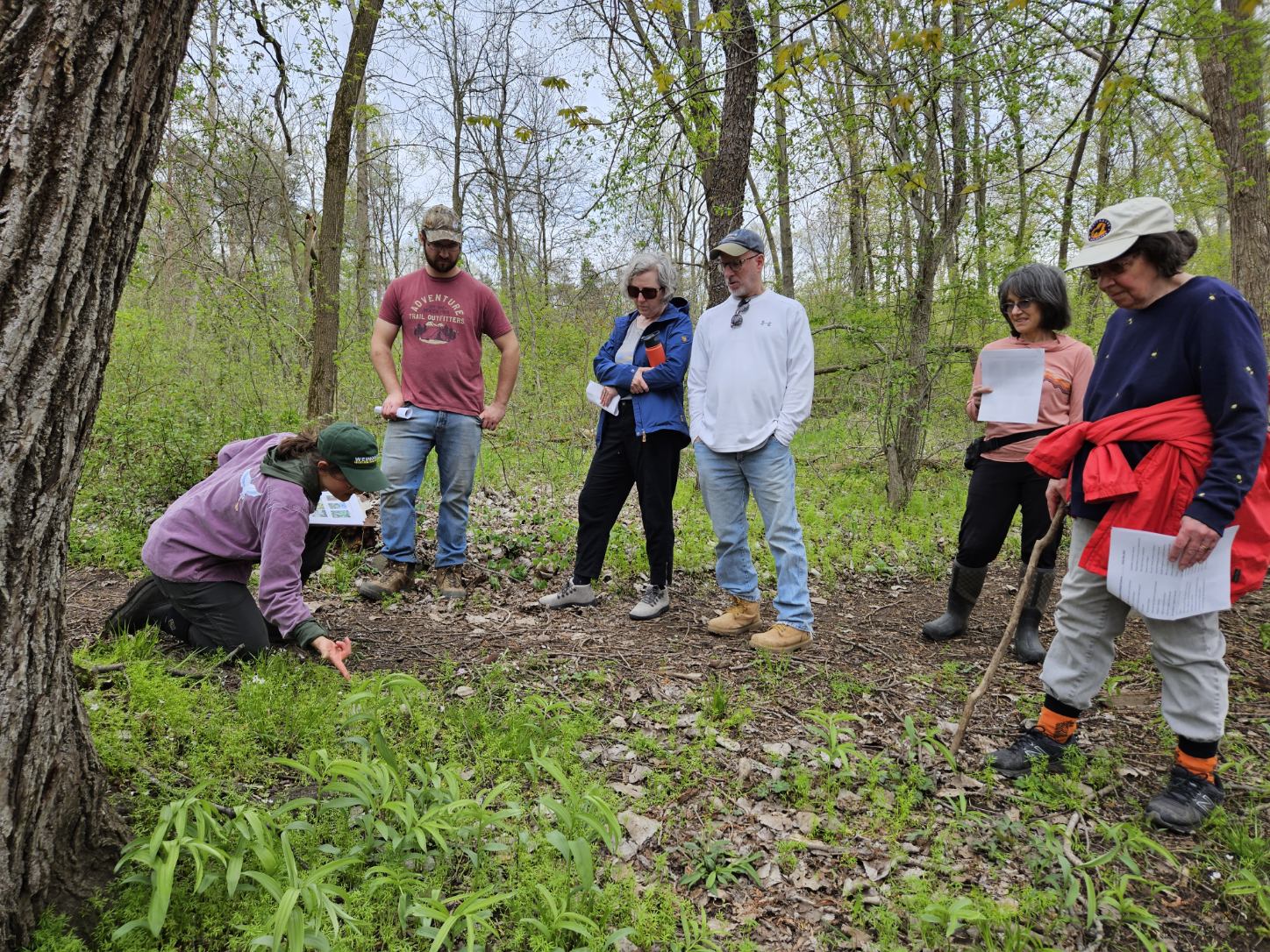 Volunteers Wild Flower Walk